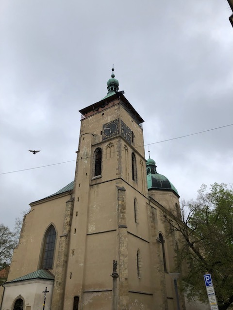 Foto 15